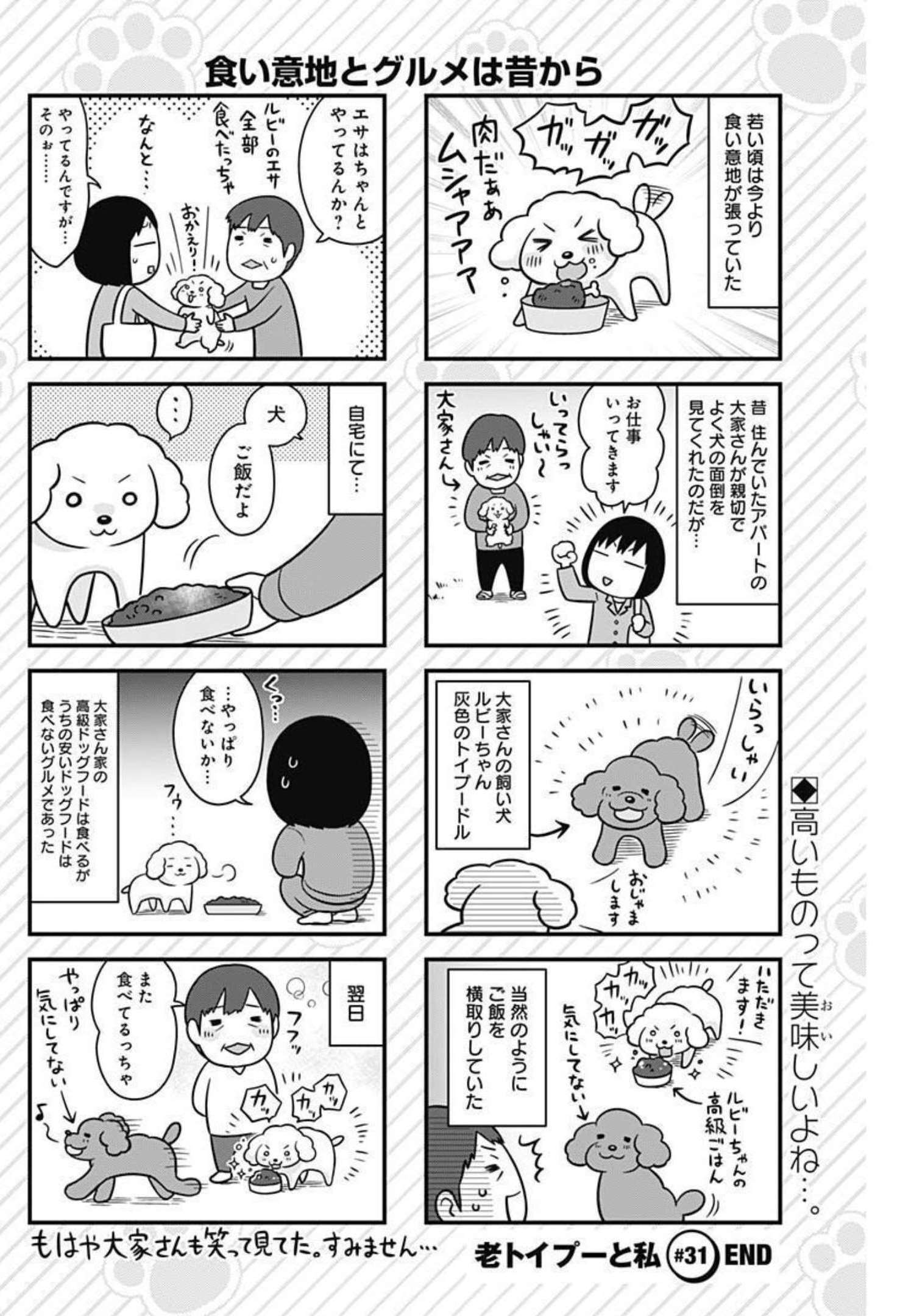 内衣高手 2nd Season Chap 208 - Next Chap 209
