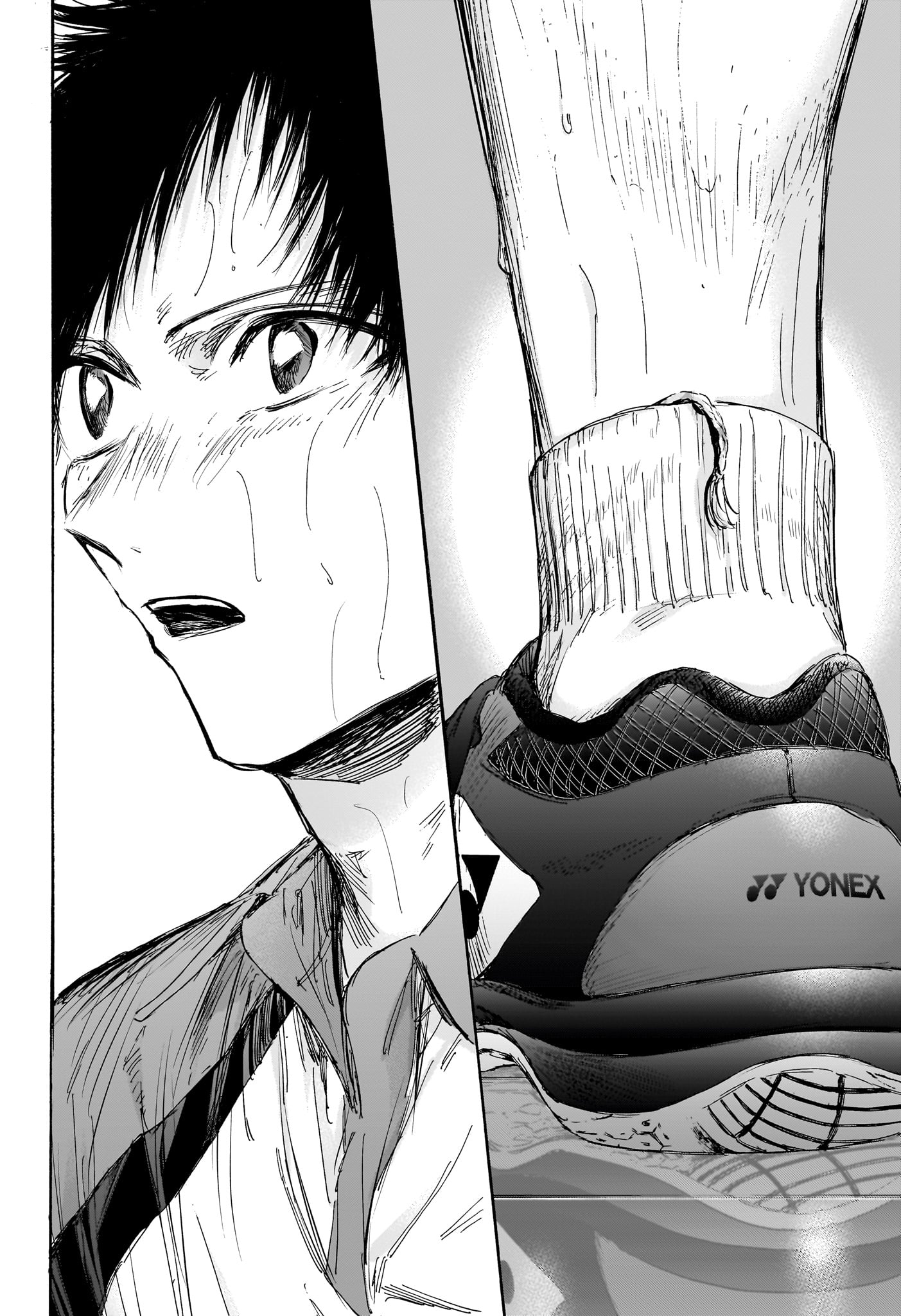 アオのハコ Chap 141 - Next Chap 142