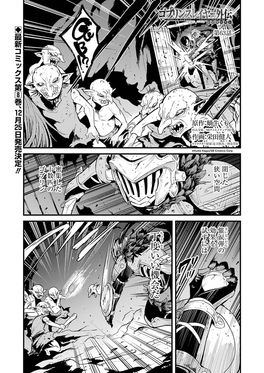 Goblin Slayer: Side Story Year One Chap 63 - Next Chap 64