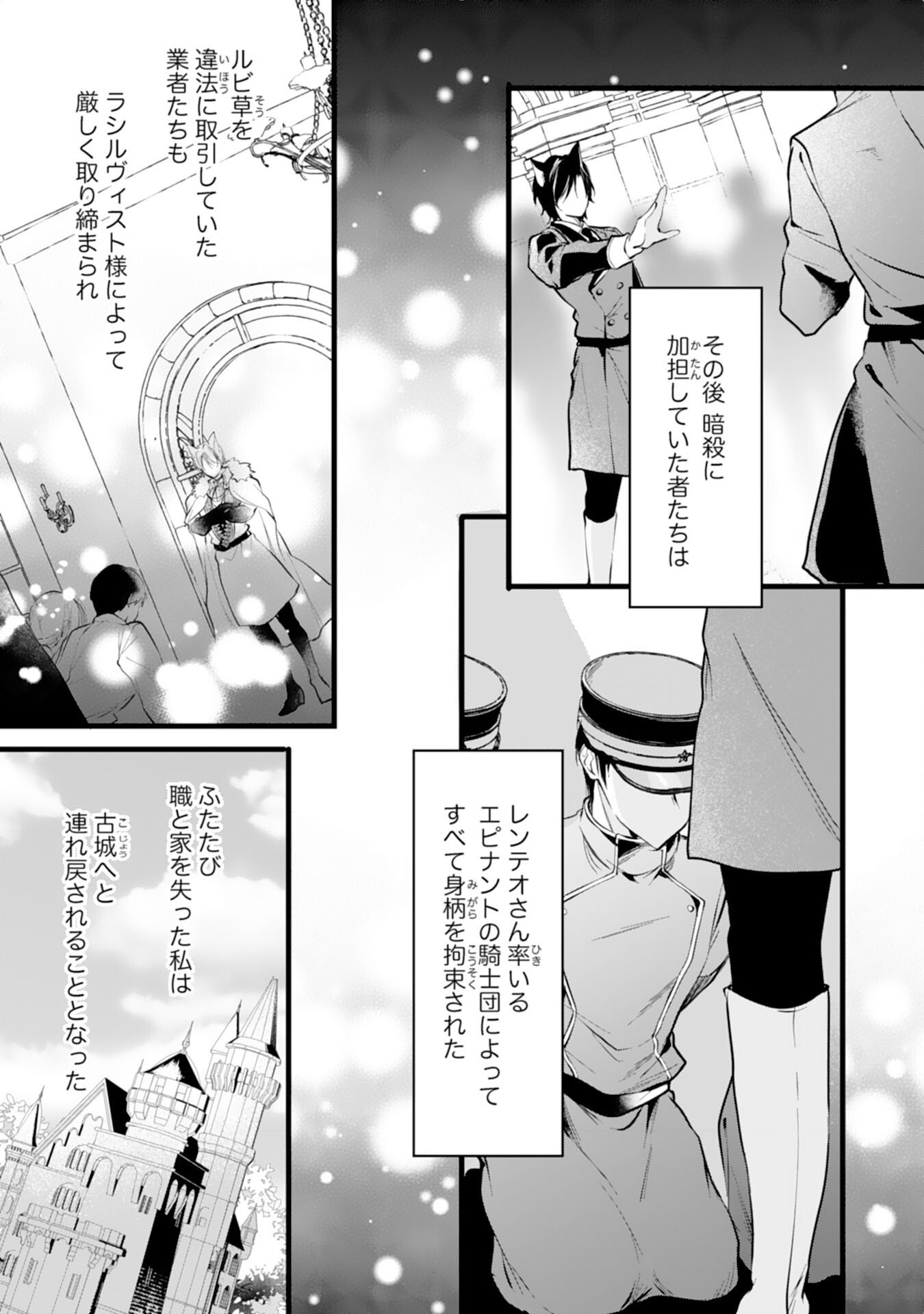 Akujo no Retteru wo Harareta Tsuihou Reijou desu ga, Saikyou Heika no Dekiai ni Tsukamarimashita - Chapter 16 - Page 9