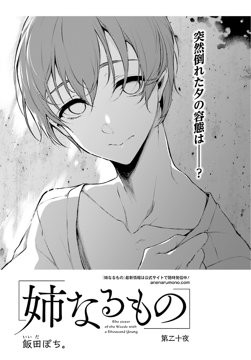 Ane Naru Mono - Chapter 20 - Page 1