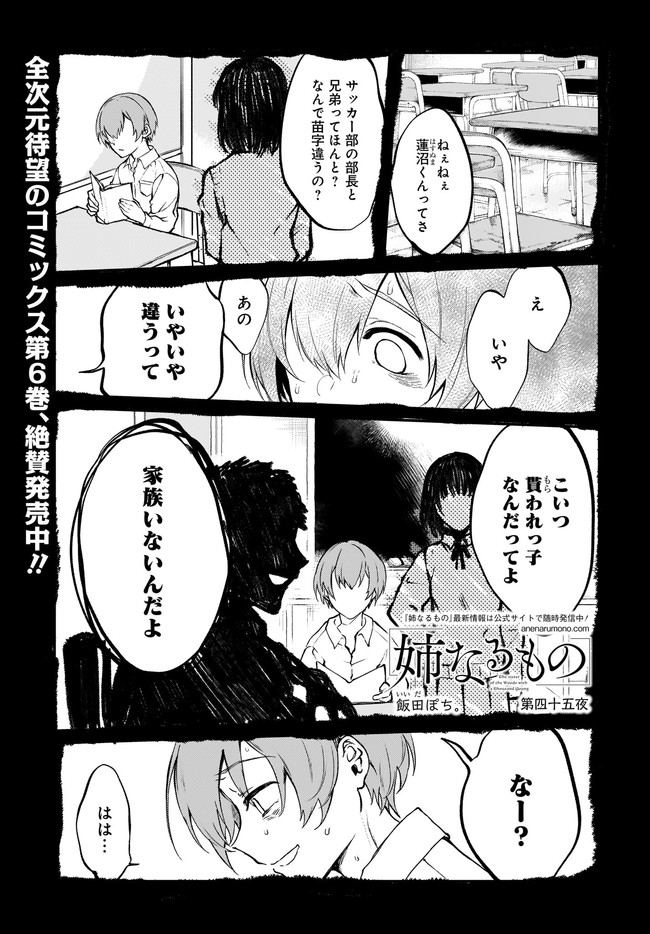 Ane Naru Mono - Chapter 45 - Page 1