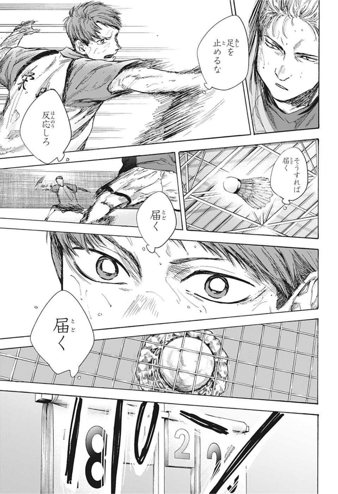 アオのハコ Chap 41 - Next Chap 42