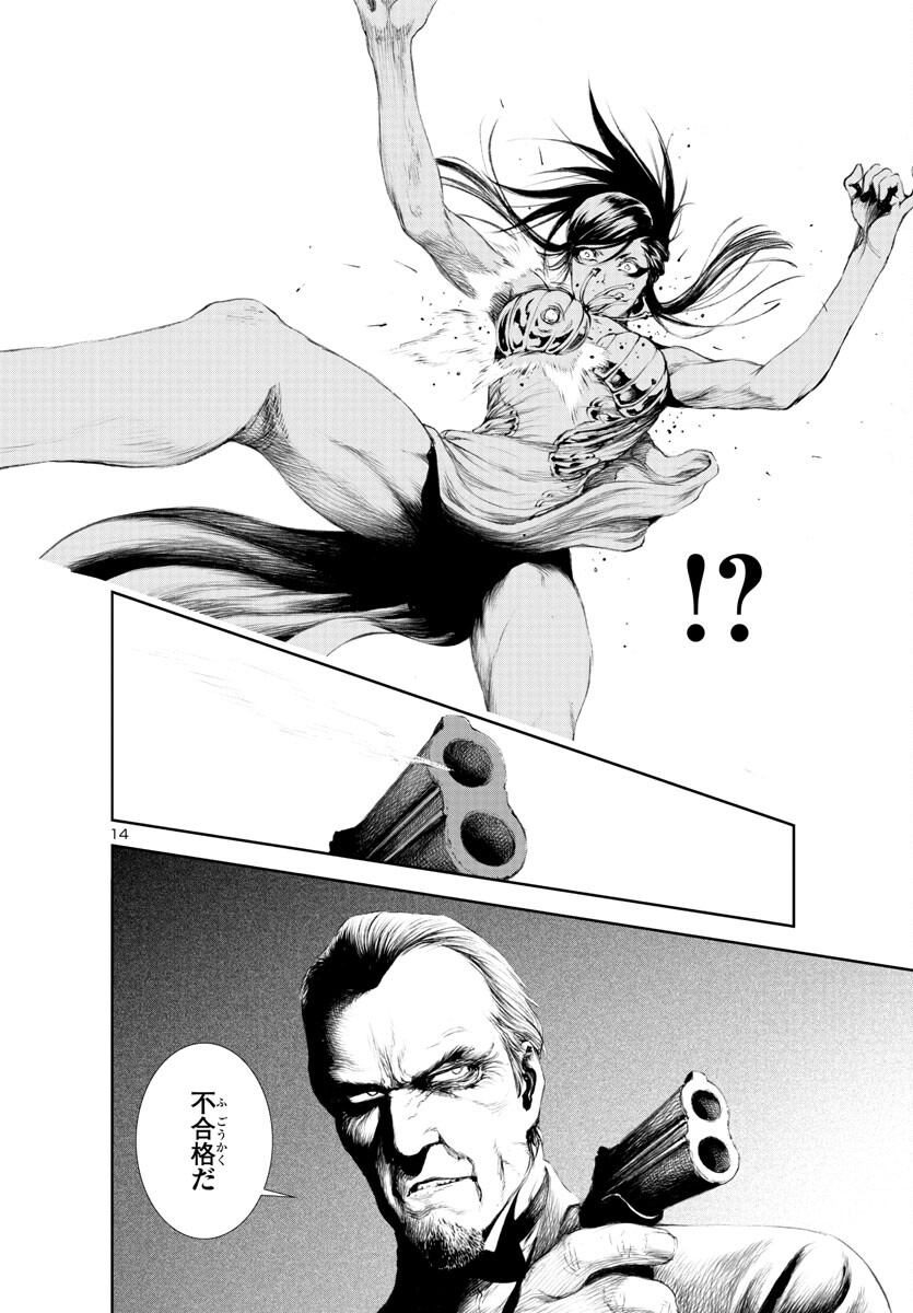 Assassins' Labyrinth: Koroshiya no Meikyuu - Chapter 13 - Page 14