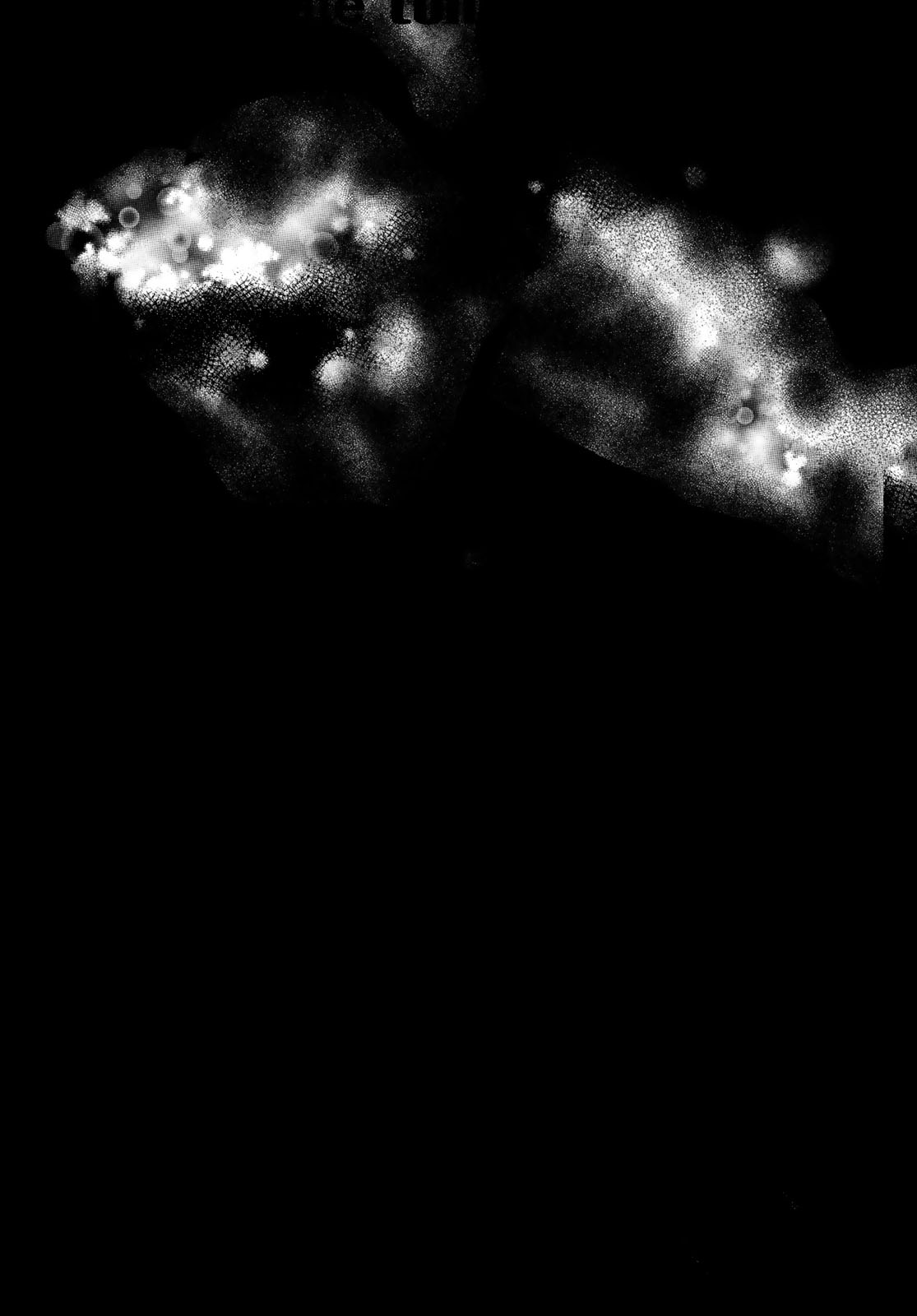 Banjou no Orion - Chapter 85 - Page 13