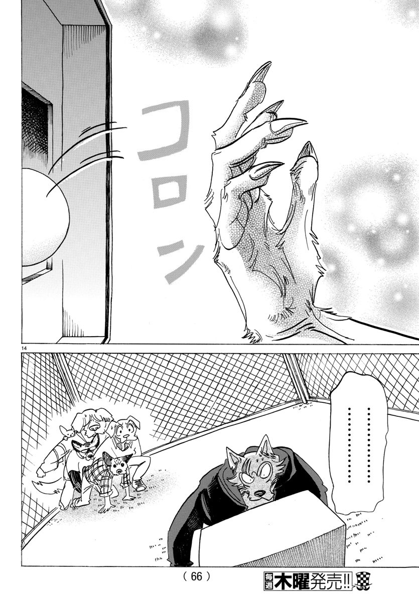 Beastars - Chapter 123 - Page 16
