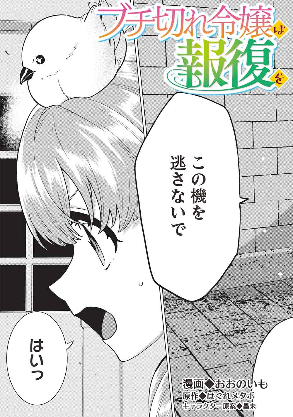 Buchigire Reijou wa Houfuku o Chikaimashita.: Madousho no Chikara de Sokoku o Tataki Tsubushimasu - Chapter 61 - Page 3