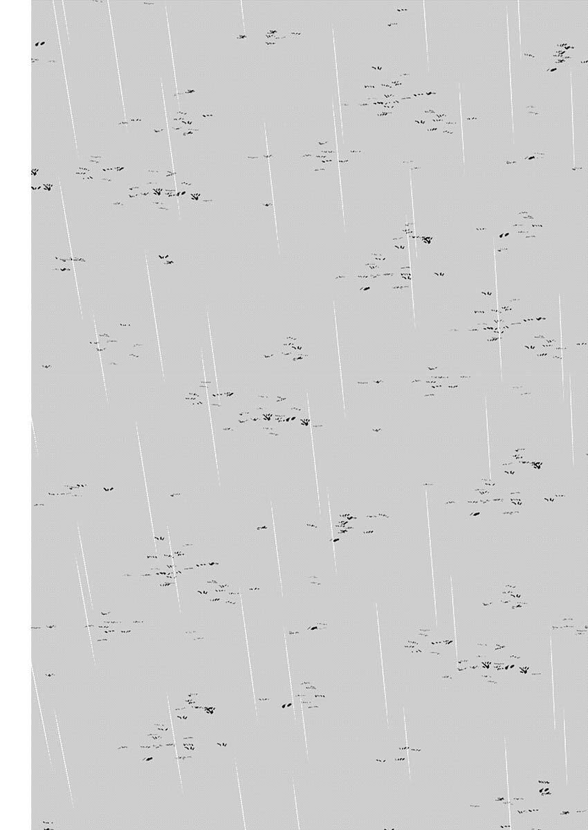 カテナチオ Chap 83 - Next Chap 84