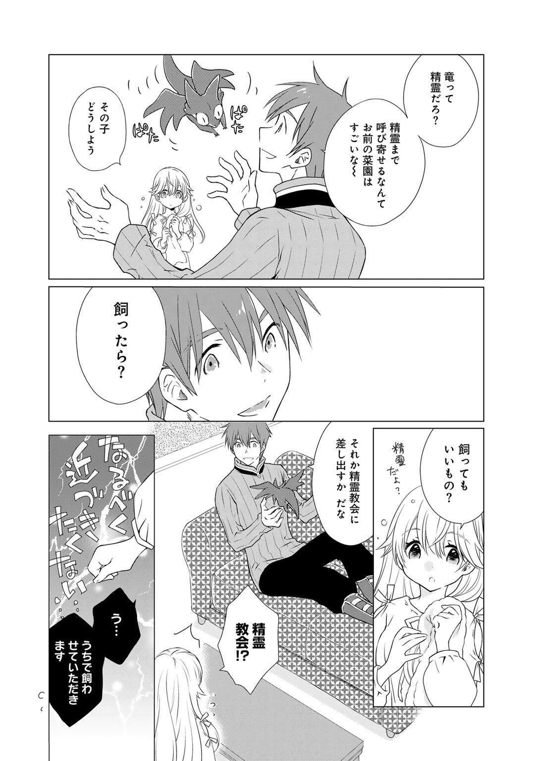 Cheat de Katei Saien - Tabun Watashi ga Seirei Hime Dakedo, Hoka ni Nanorideta Mono ga Iru no de, Katei Saien Shichaimasu - Chapter 5 - Page 12