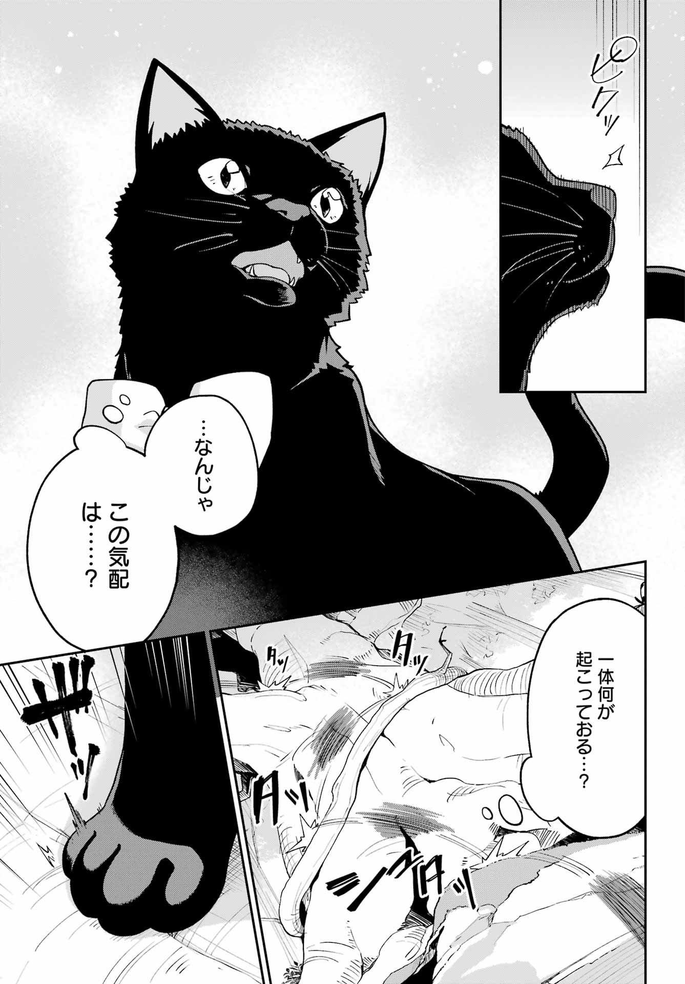 Chichi wa Eiyuu, Haha wa Seirei, Musume no Watashi wa Tenseisha. - Chapter 76 - Page 4