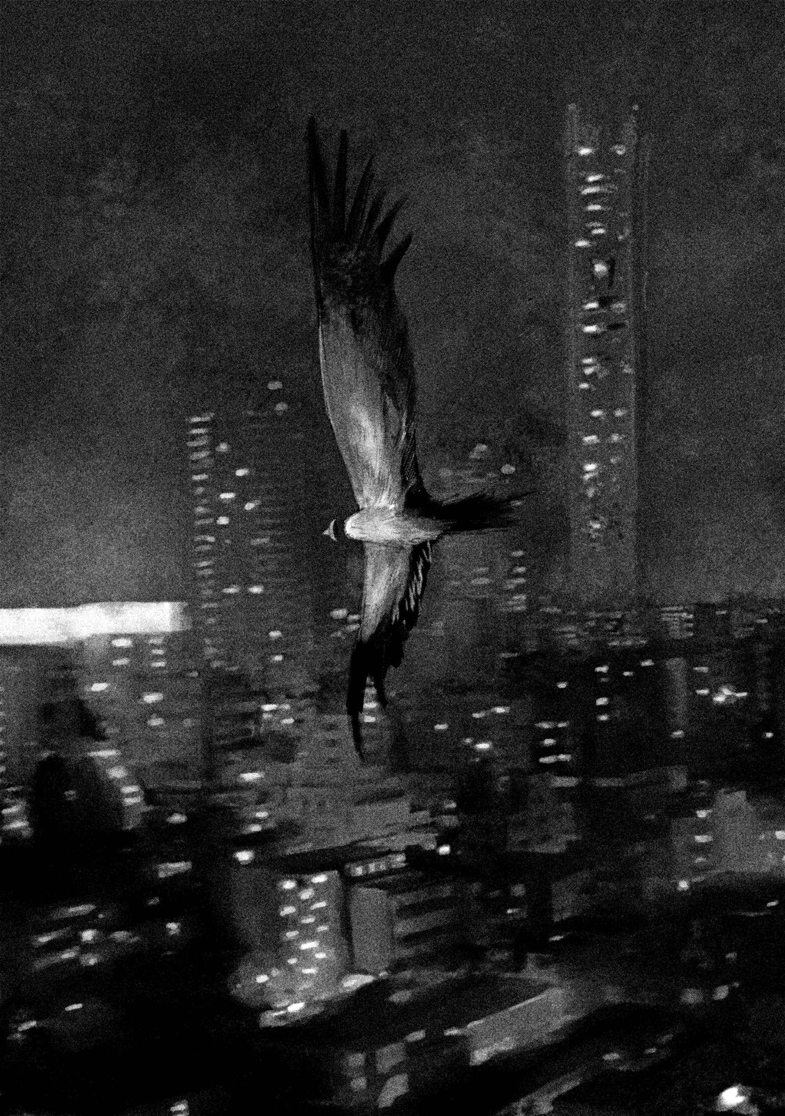 Chousou no Babel - Chapter 1 - Page 3