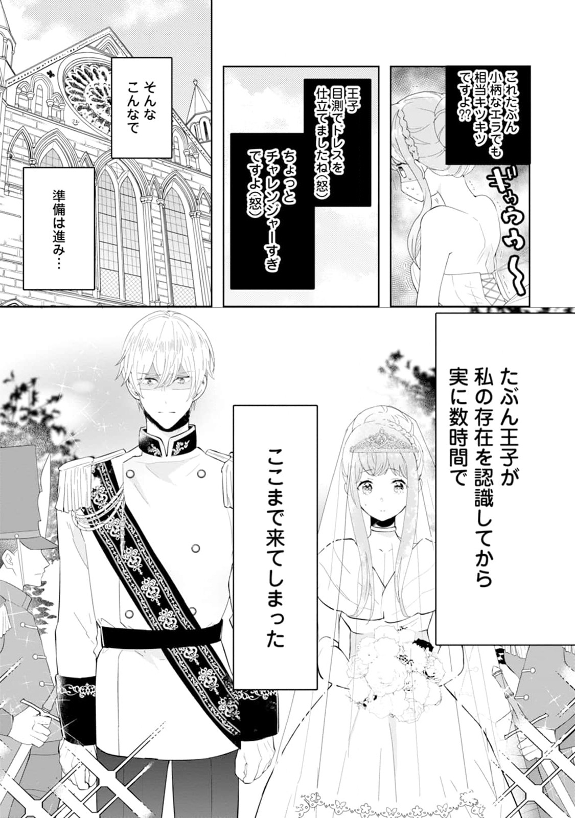 Cinderella no Ane desu ga, Fuhoninagara Ouji to Kekkon suru Koto ni narimashita - Migawari Outaishi-hi wa Rikyuu de Slow Life wo Mankitsu suru - Chapter 1 - Page 17
