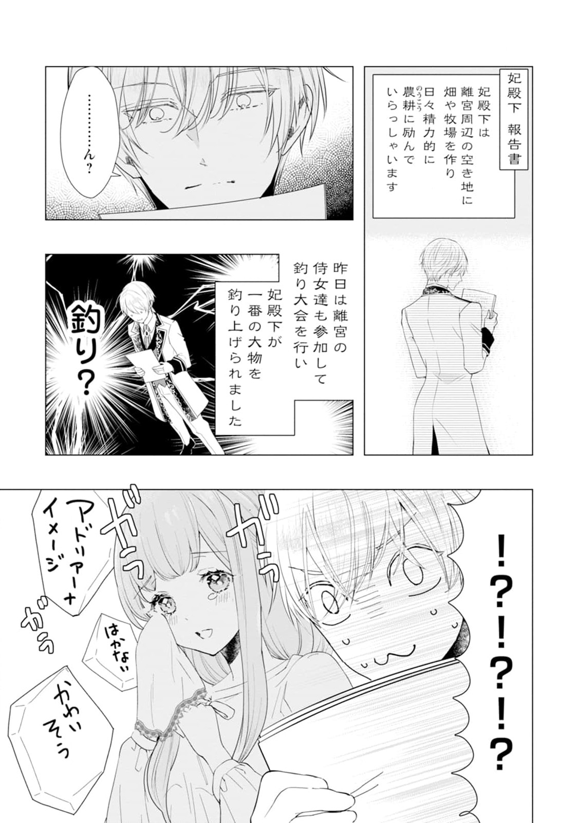 Cinderella no Ane desu ga, Fuhoninagara Ouji to Kekkon suru Koto ni narimashita - Migawari Outaishi-hi wa Rikyuu de Slow Life wo Mankitsu suru - Chapter 2 - Page 27