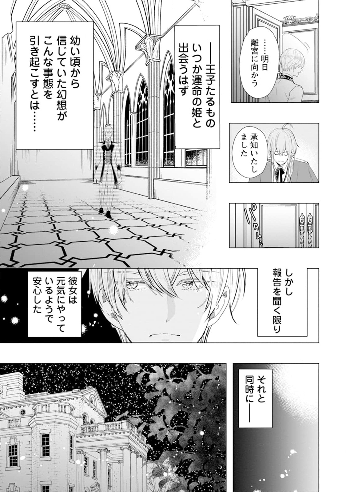 Cinderella no Ane desu ga, Fuhoninagara Ouji to Kekkon suru Koto ni narimashita - Migawari Outaishi-hi wa Rikyuu de Slow Life wo Mankitsu suru - Chapter 2 - Page 29