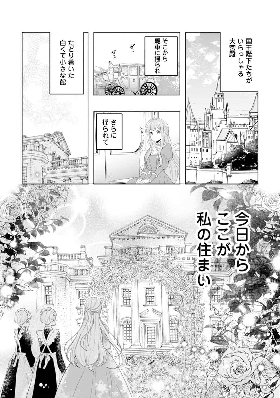 Cinderella no Ane desu ga, Fuhoninagara Ouji to Kekkon suru Koto ni narimashita - Migawari Outaishi-hi wa Rikyuu de Slow Life wo Mankitsu suru - Chapter 2 - Page 3