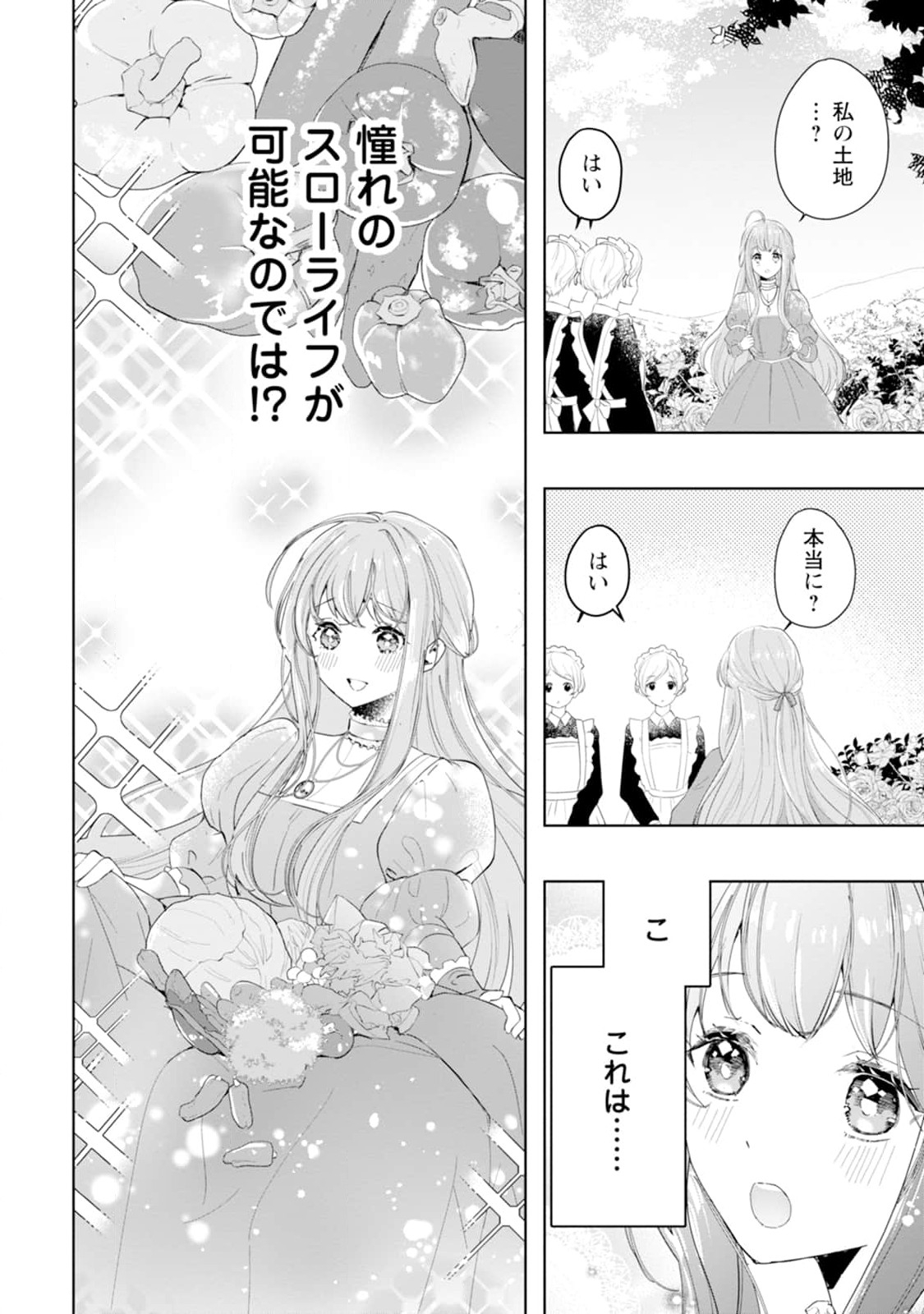 Cinderella no Ane desu ga, Fuhoninagara Ouji to Kekkon suru Koto ni narimashita - Migawari Outaishi-hi wa Rikyuu de Slow Life wo Mankitsu suru - Chapter 2 - Page 6