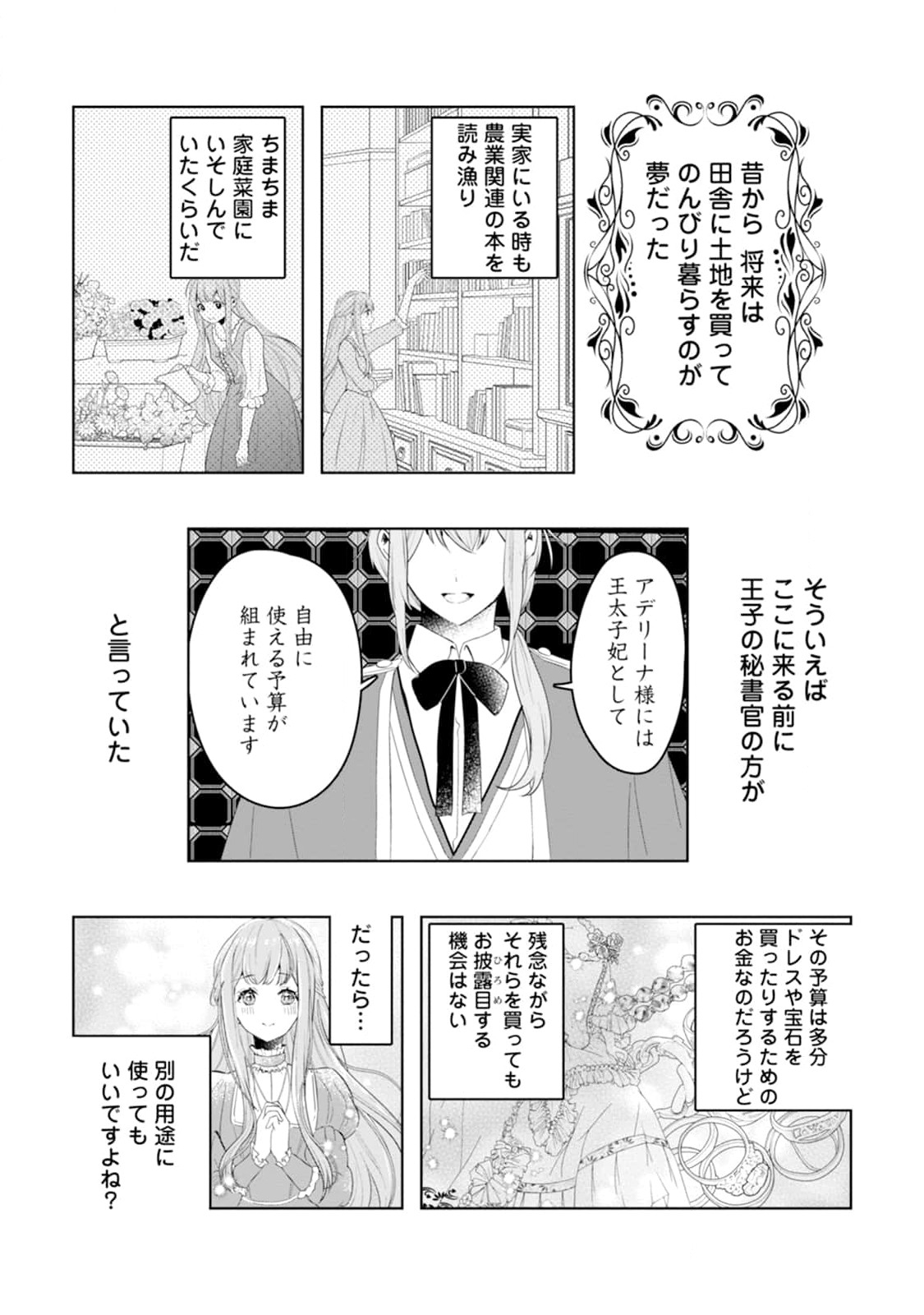 Cinderella no Ane desu ga, Fuhoninagara Ouji to Kekkon suru Koto ni narimashita - Migawari Outaishi-hi wa Rikyuu de Slow Life wo Mankitsu suru - Chapter 2 - Page 7