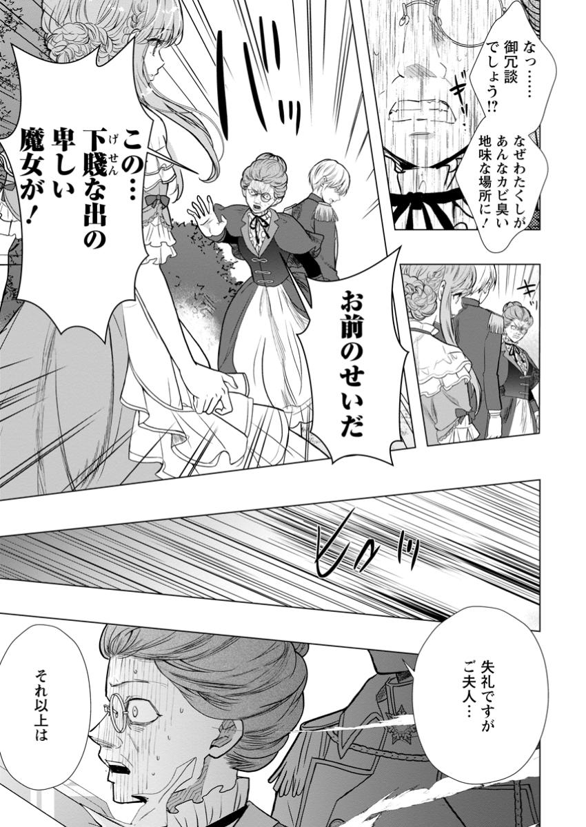Cinderella no Ane desu ga, Fuhoninagara Ouji to Kekkon suru Koto ni narimashita - Migawari Outaishi-hi wa Rikyuu de Slow Life wo Mankitsu suru - Chapter 20.2 - Page 5