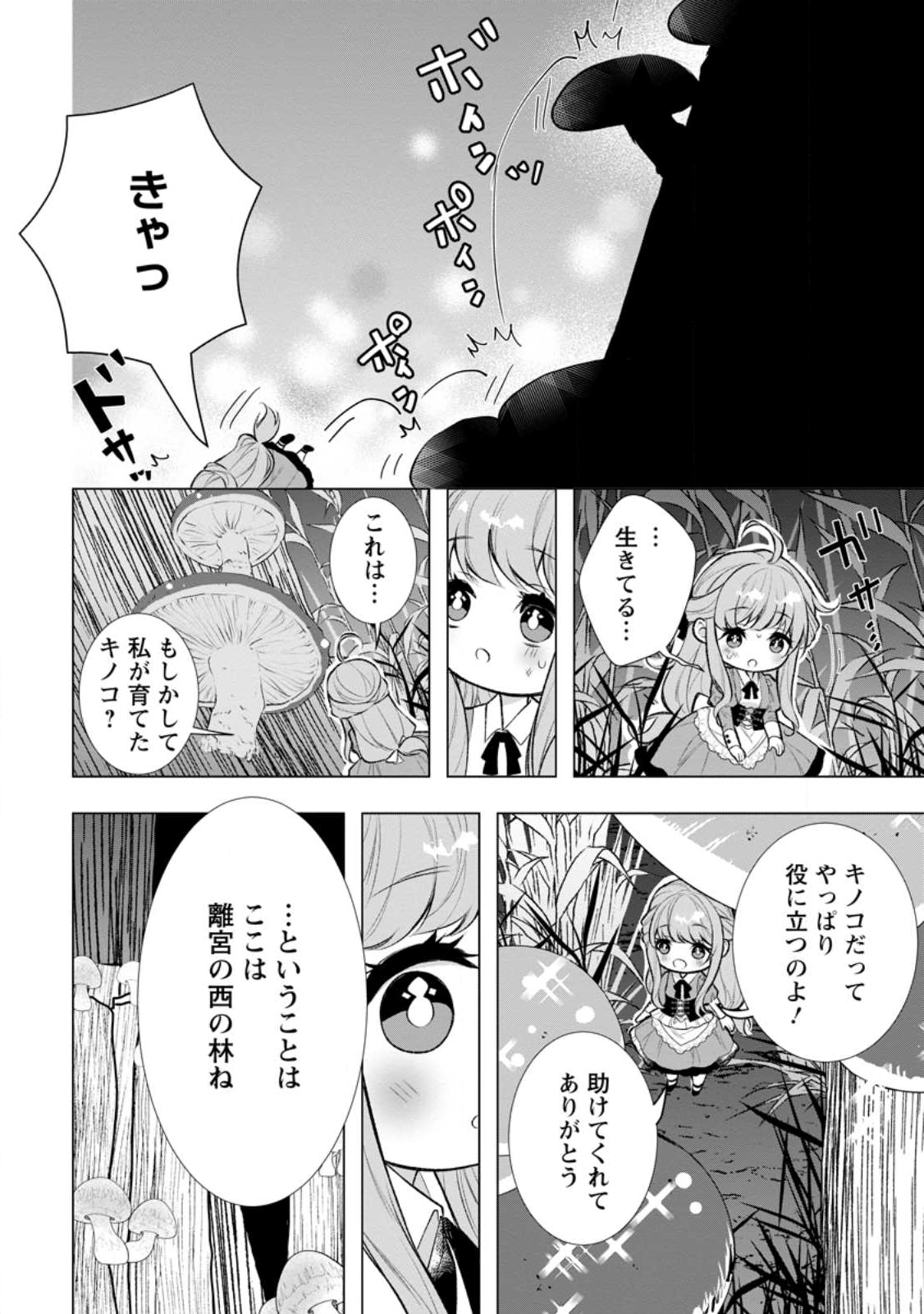Cinderella no Ane desu ga, Fuhoninagara Ouji to Kekkon suru Koto ni narimashita - Migawari Outaishi-hi wa Rikyuu de Slow Life wo Mankitsu suru - Chapter 28.3 - Page 3