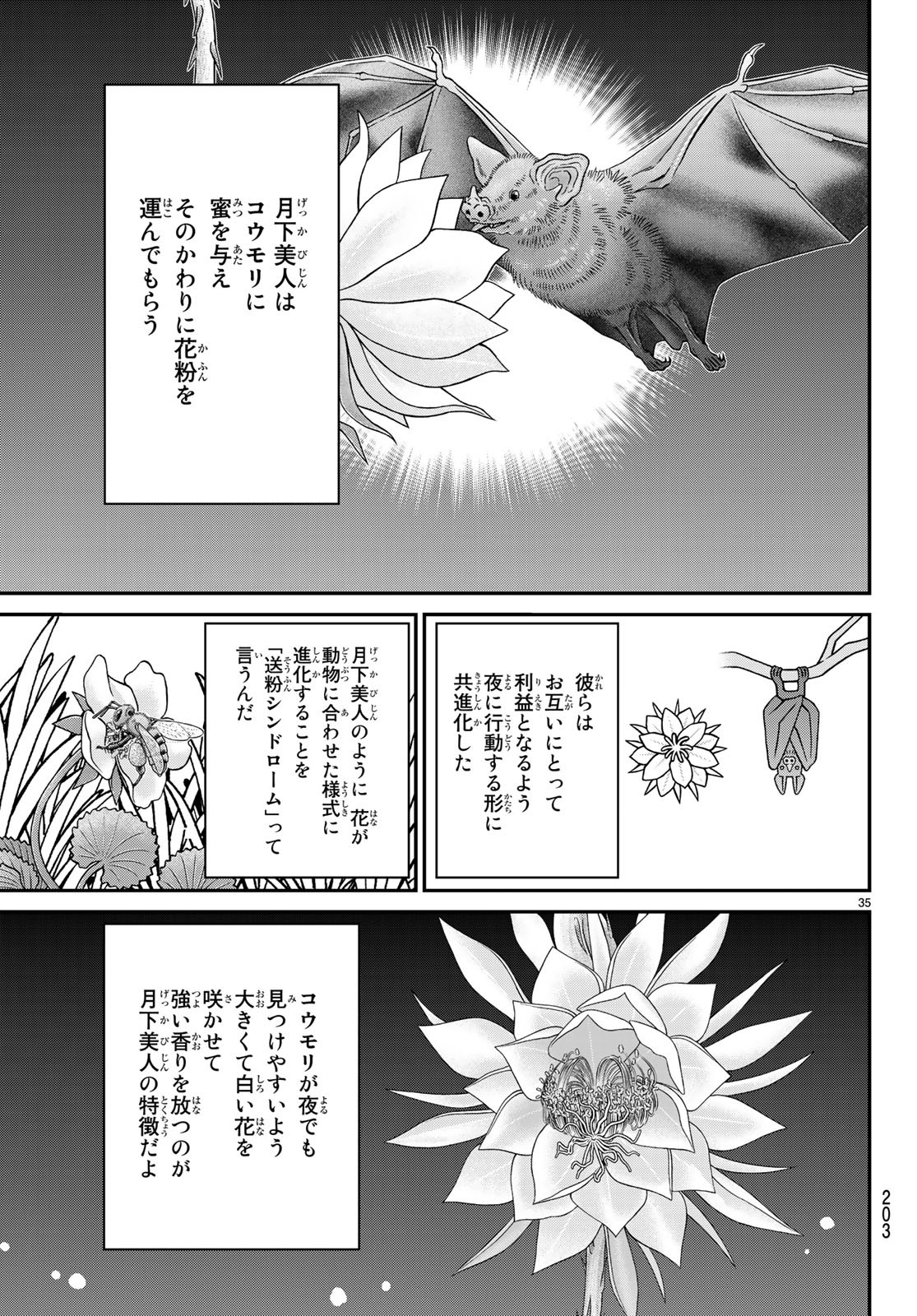 C.M.B. - Chapter 138 - Page 35