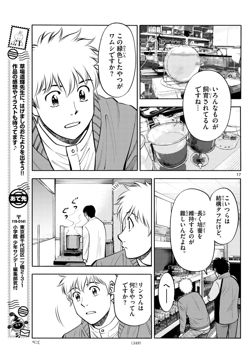 Daiku no Hatou - Chapter 125 - Page 17