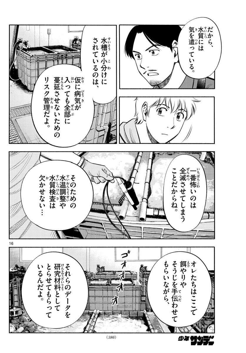 Daiku no Hatou - Chapter 191 - Page 16