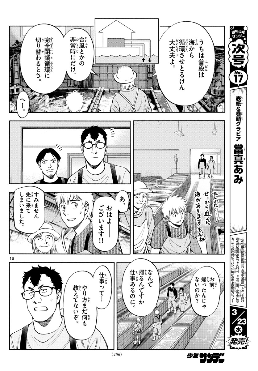 Daiku no Hatou - Chapter 195 - Page 16