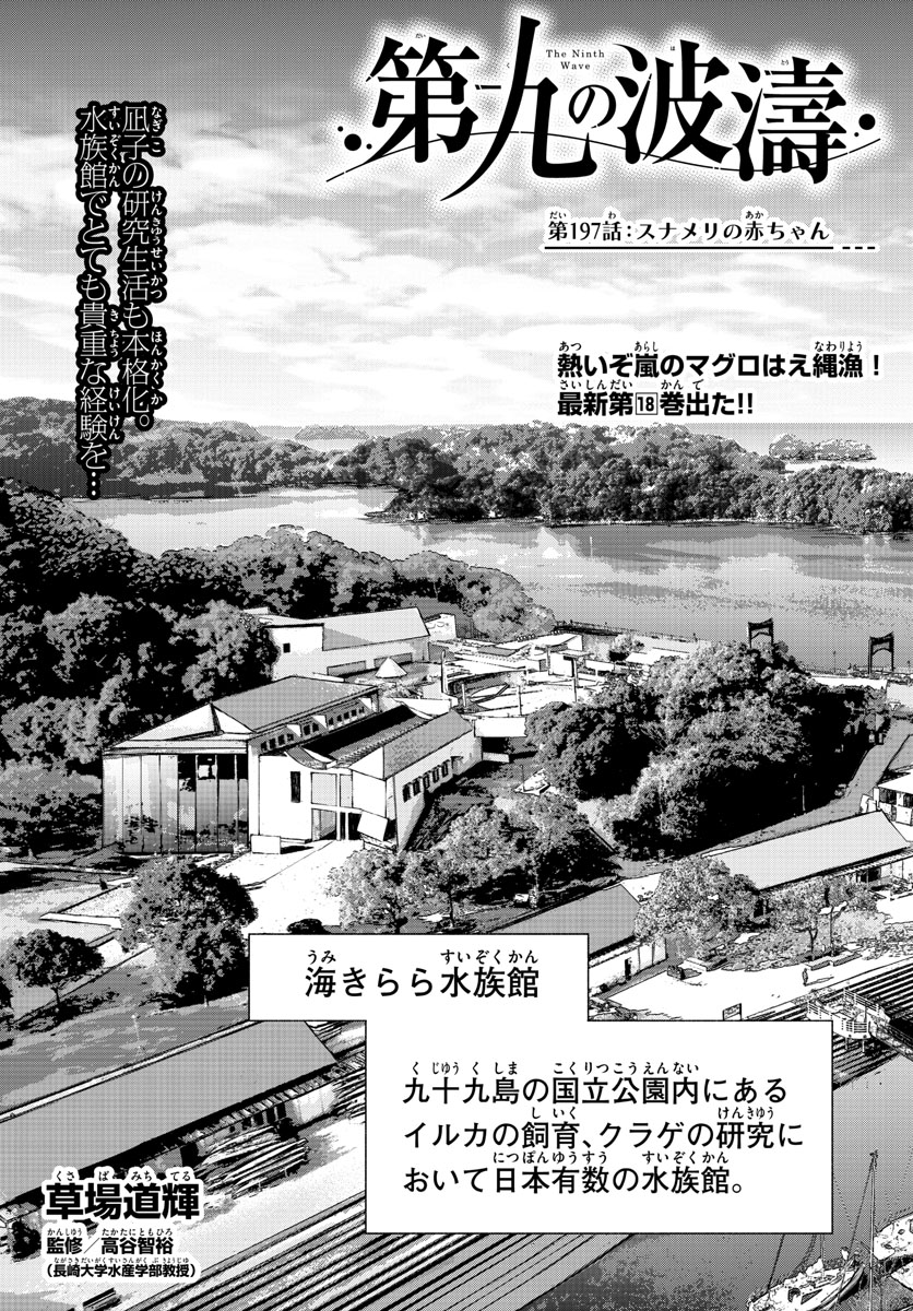 Daiku no Hatou - Chapter 197 - Page 1