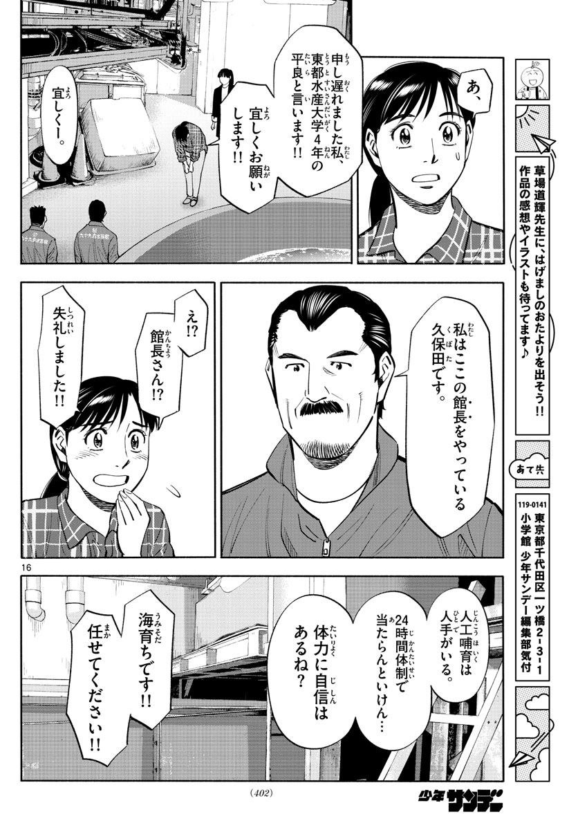 Daiku no Hatou - Chapter 197 - Page 16