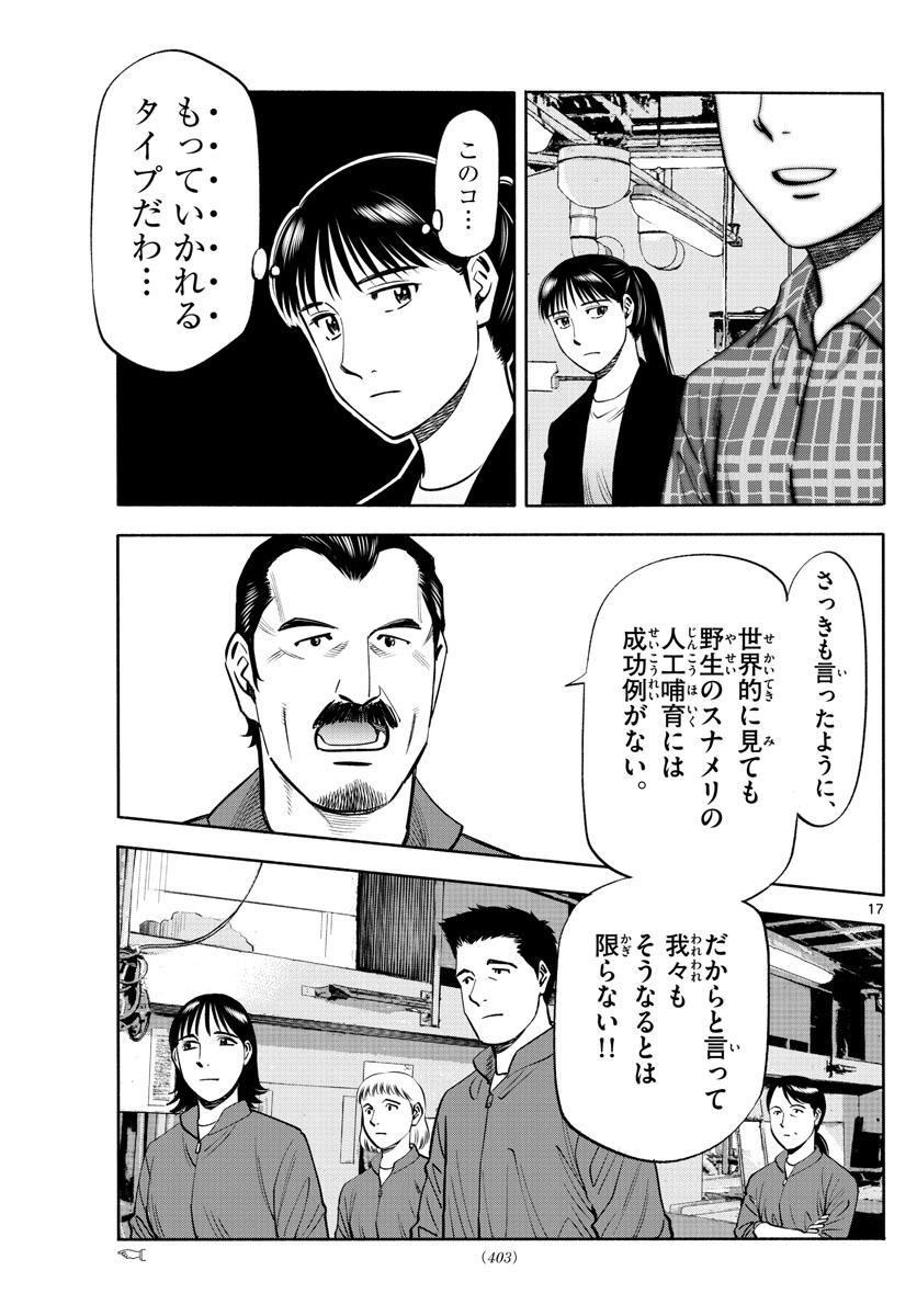 Daiku no Hatou - Chapter 197 - Page 17