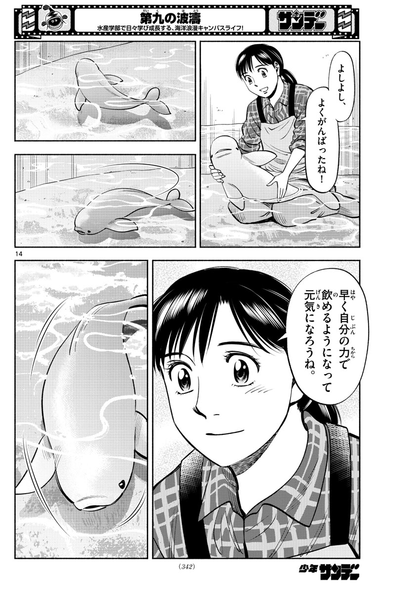 Daiku no Hatou - Chapter 198 - Page 14