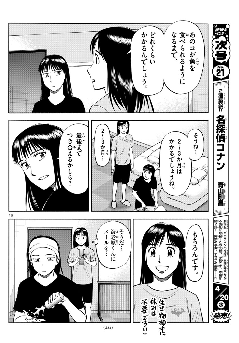 Daiku no Hatou - Chapter 198 - Page 16