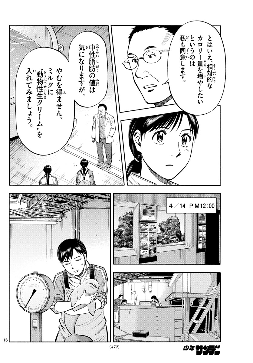 Daiku no Hatou - Chapter 199 - Page 16