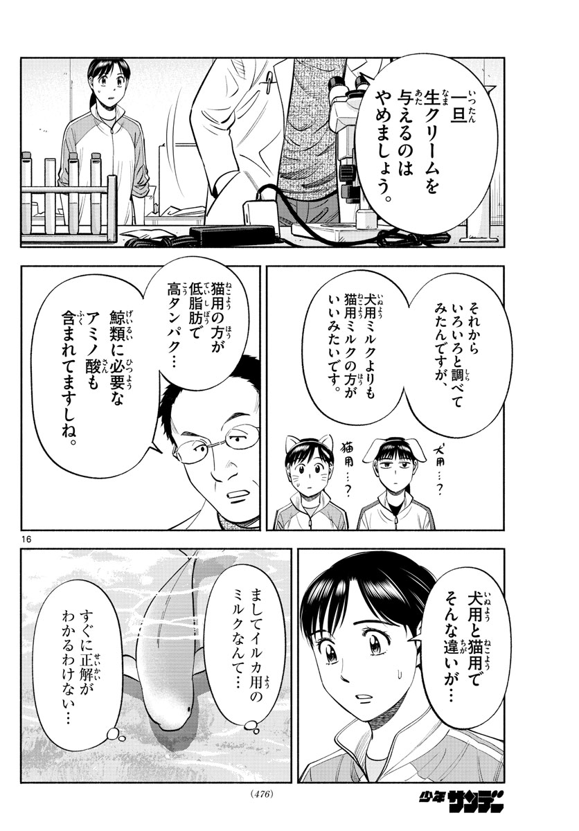 Daiku no Hatou - Chapter 200 - Page 16