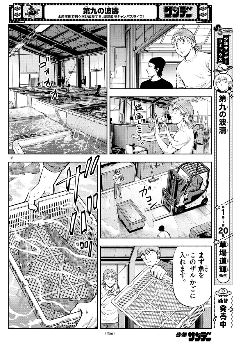 Daiku no Hatou - Chapter 214 - Page 12