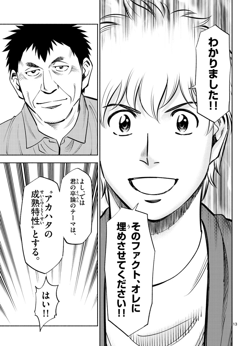 Daiku no Hatou - Chapter 217 - Page 13