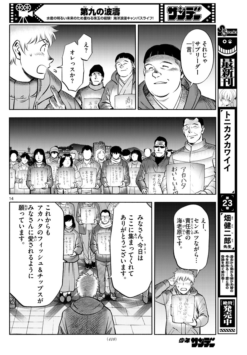 Daiku no Hatou - Chapter 233 - Page 14