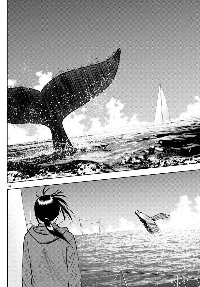 Daiku no Hatou - Chapter 96 - Page 14