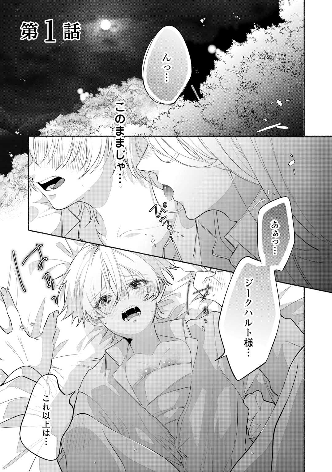 Danso Kishi wa Outashi no Okiniiri - Chapter 1 - Page 1