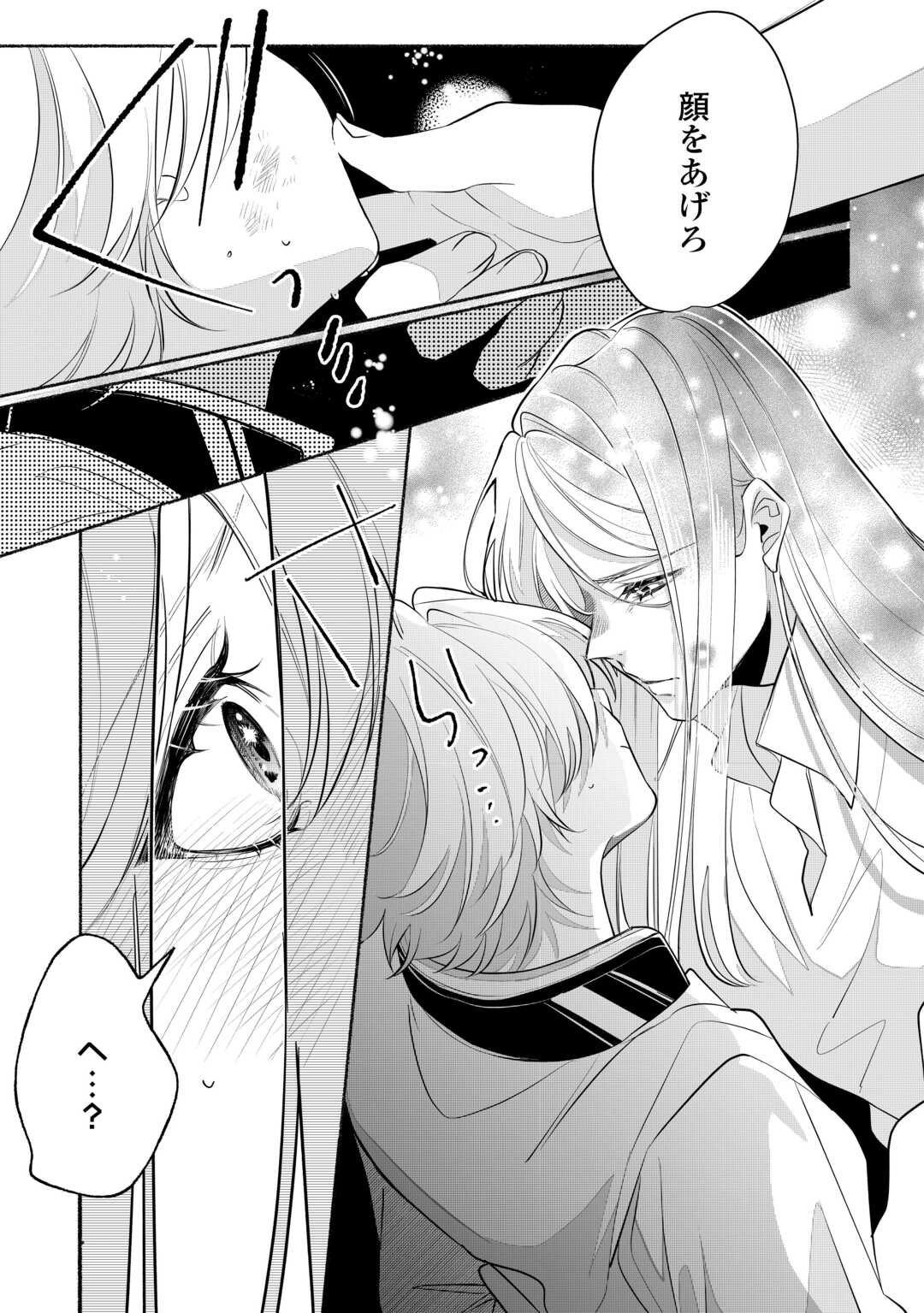 Danso Kishi wa Outashi no Okiniiri - Chapter 1 - Page 23