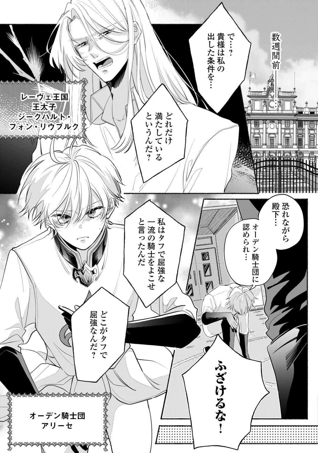 Danso Kishi wa Outashi no Okiniiri - Chapter 1 - Page 3