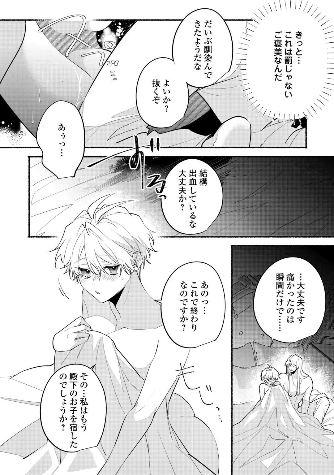 Danso Kishi wa Outashi no Okiniiri - Chapter 11 - Page 16