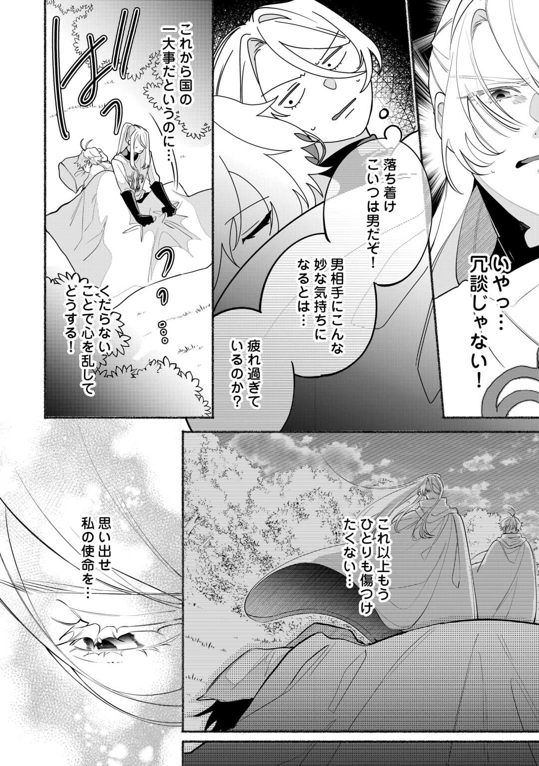 Danso Kishi wa Outashi no Okiniiri - Chapter 2 - Page 28