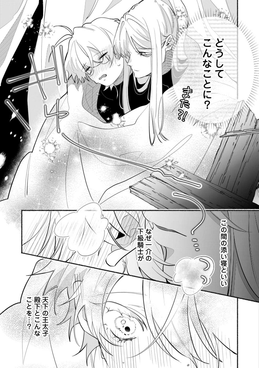 Danso Kishi wa Outashi no Okiniiri - Chapter 4 - Page 15