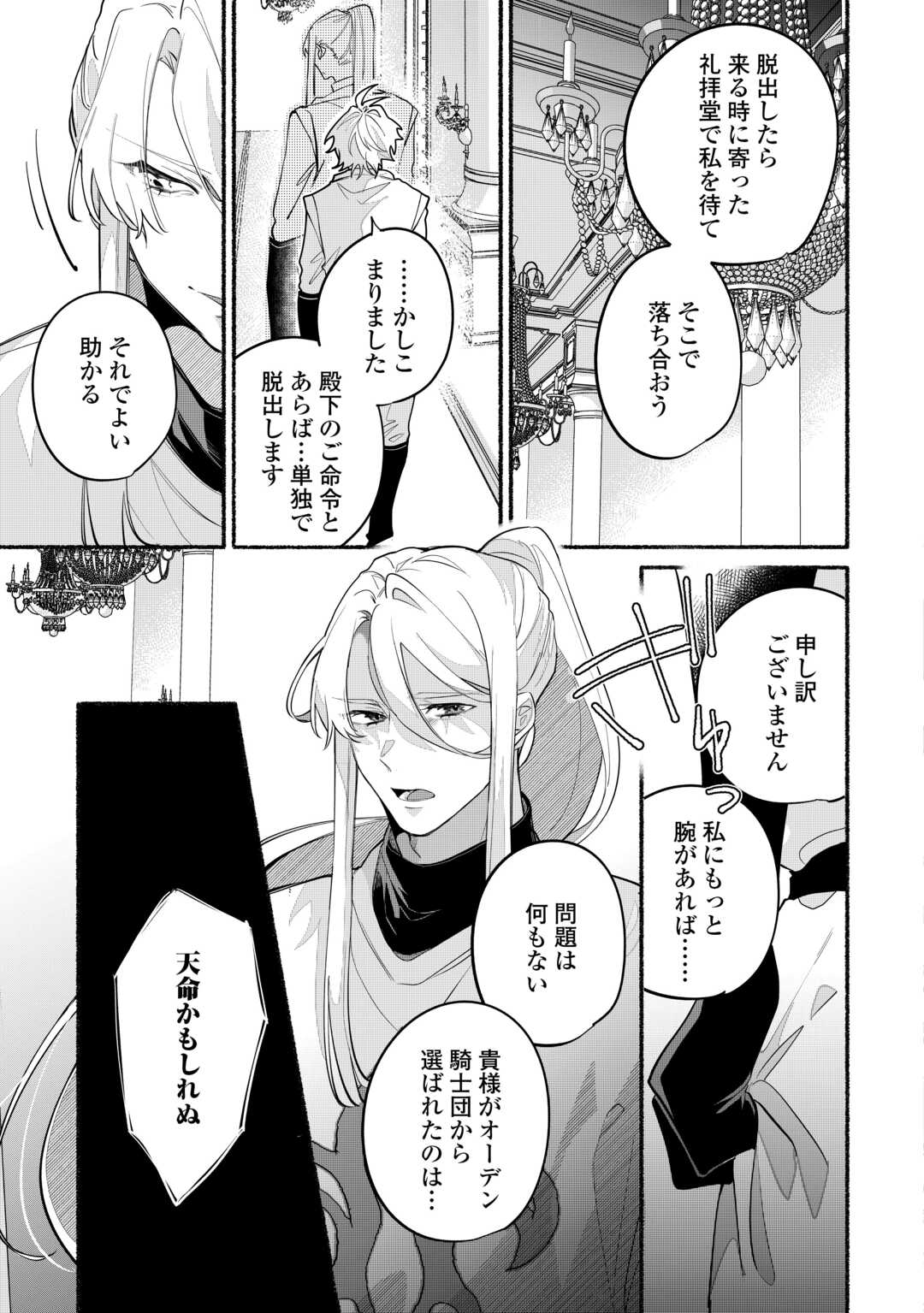 Danso Kishi wa Outashi no Okiniiri - Chapter 5 - Page 17