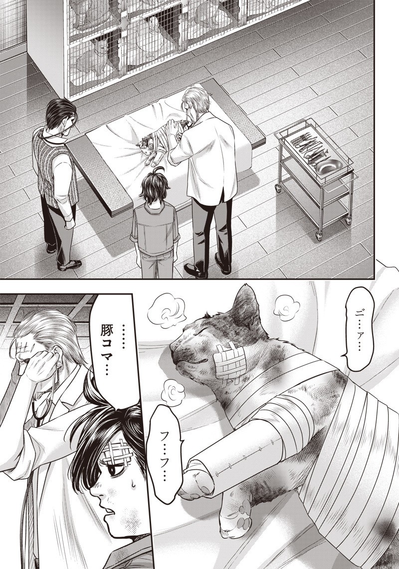 DINER (KAWAI Takanori) - Chapter 125 - Page 6