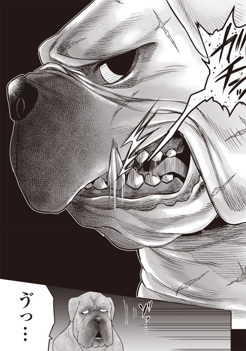 DINER (KAWAI Takanori) - Chapter 141 - Page 5