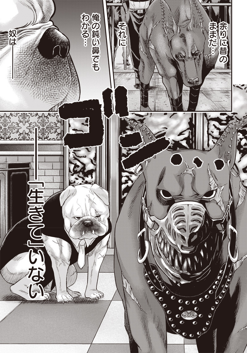 DINER (KAWAI Takanori) - Chapter 142 - Page 15