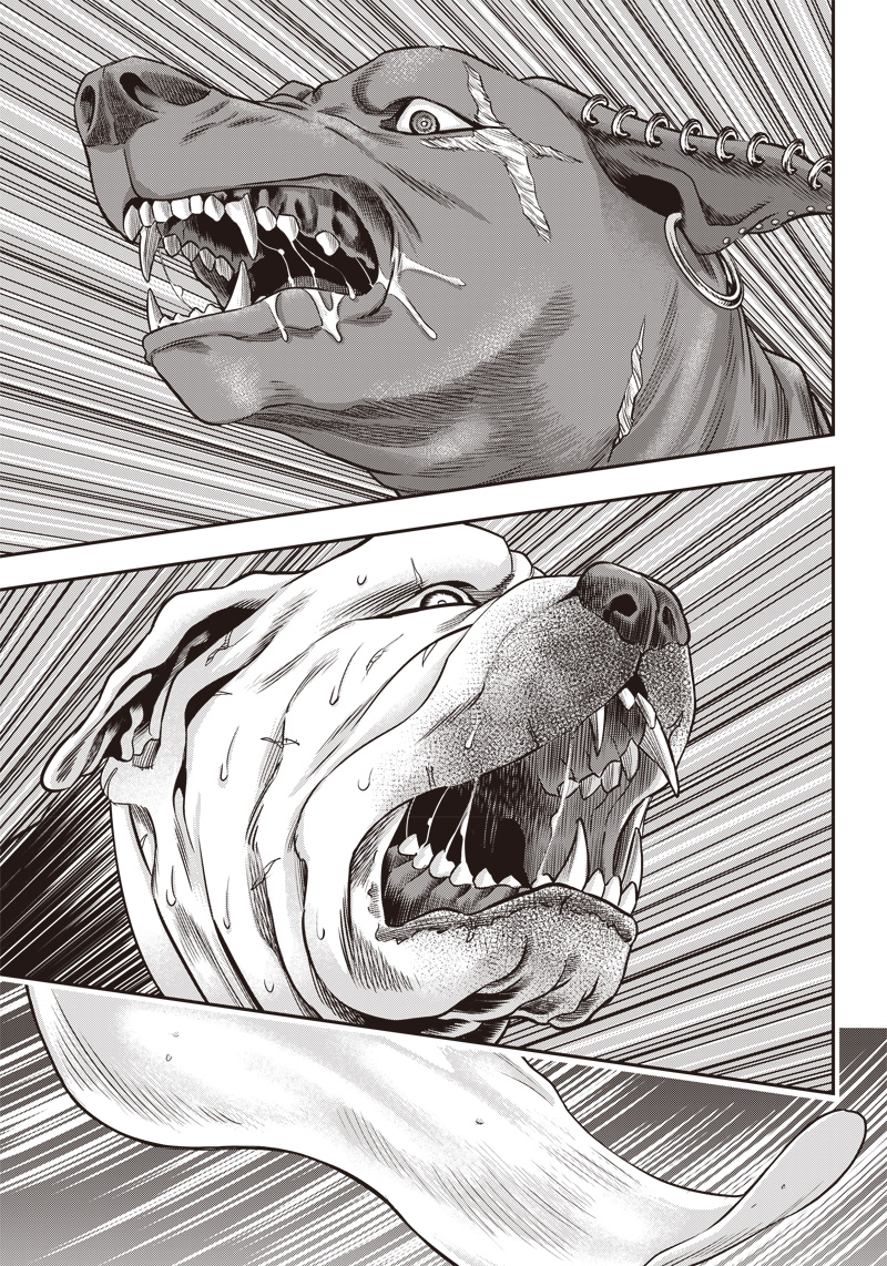 DINER (KAWAI Takanori) - Chapter 147 - Page 11