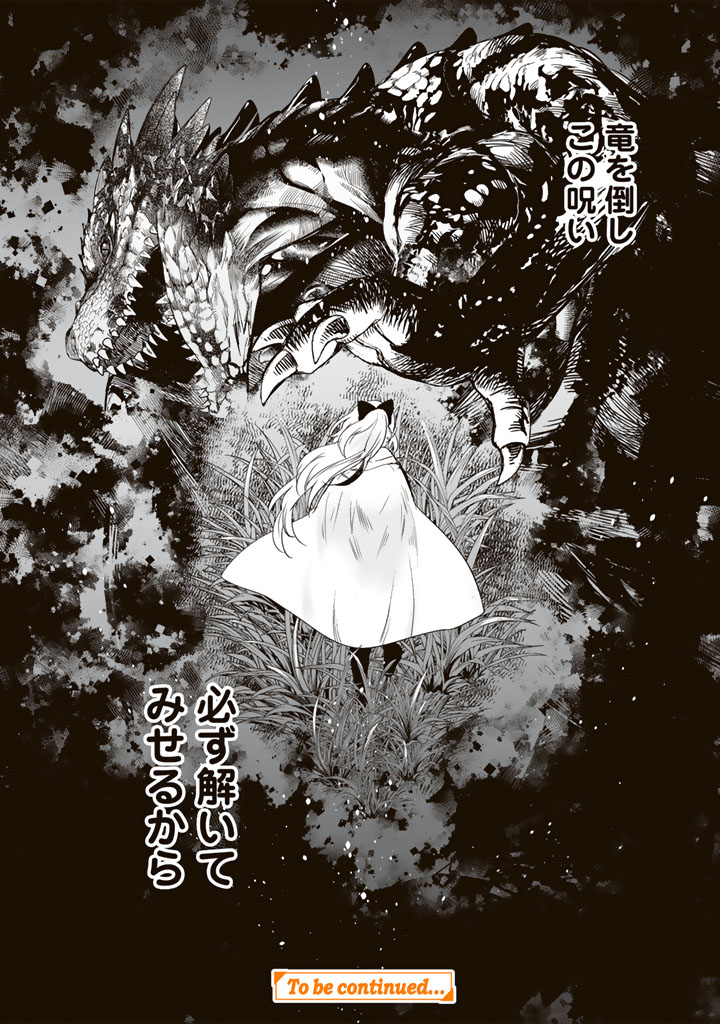 Doraken Code: Wakeari no Ryuu to Norowareta Hime - Chapter 1 - Page 22